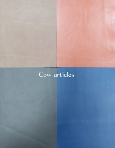 Cow Articles